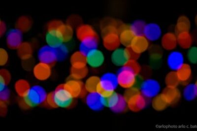 Crop of image by Arlo Bates via Flickr