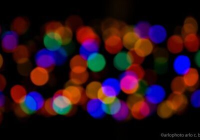 Crop of image by Arlo Bates via Flickr