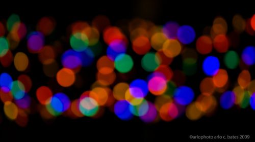 Crop of image by Arlo Bates via Flickr