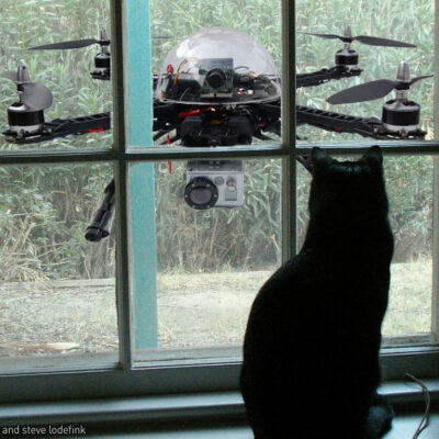 Drone outside window with cat