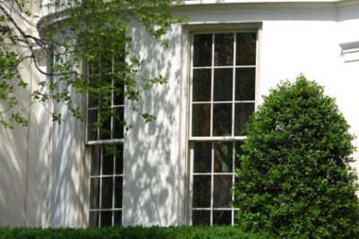 Crop of image by afagen via Flickr