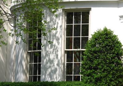 Crop of image by afagen via Flickr