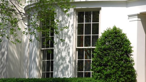 Crop of image by afagen via Flickr