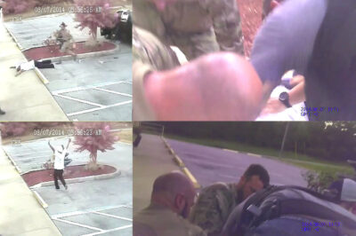 Stills from Derrick Price beating videos
