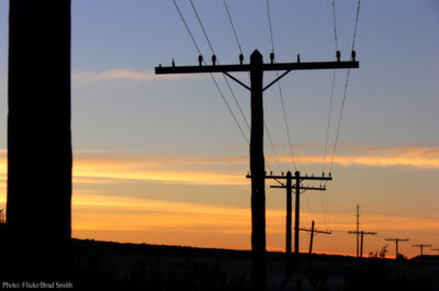 Telephone wires at dusk