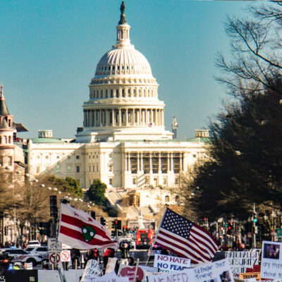 Protest at the capitol