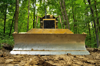 Bulldozer in a forest