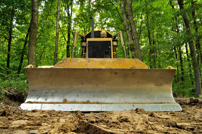 Bulldozer in a forest
