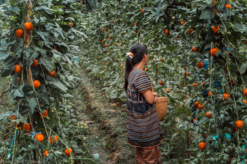 A female farm worker