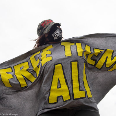 A masked protester is seen wrapped in a sign that says FREE THEM ALL