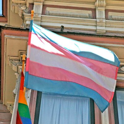 Trans pride flag.