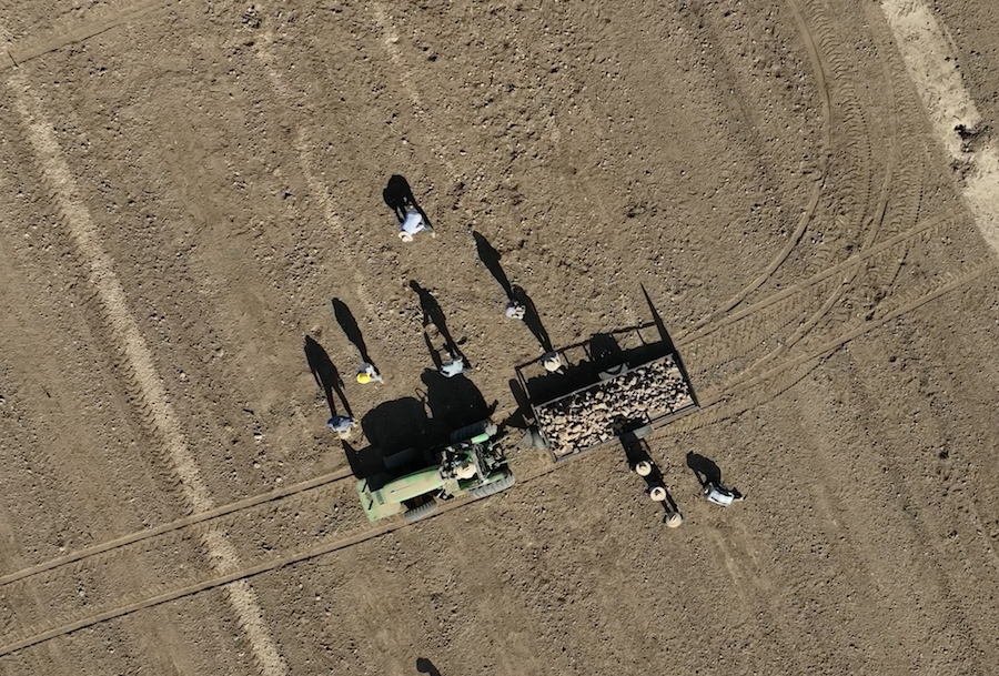 A photograph of farmworkers.