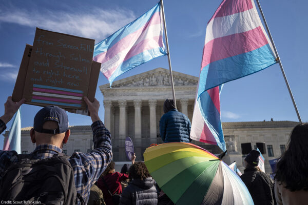 A group of demonstrators, in front of the Supreme Court, some of which hold transgender flags.